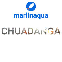 Chuadanga