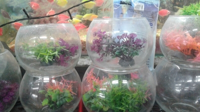 aquarium-1671885147.jpg
