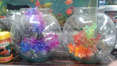 aquarium-1671885189.jpg
