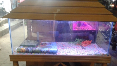 aquarium-1671886419.jpg