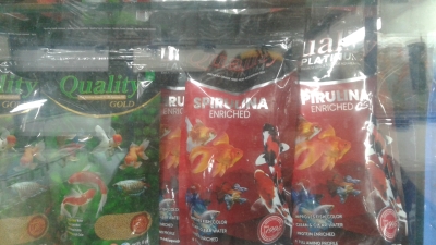fish-food-1671884996.jpg