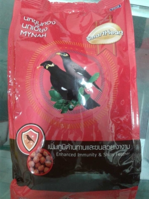 mynah-smart-heart-332435271983217100.jpg