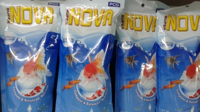 nova-1673097363.jpg