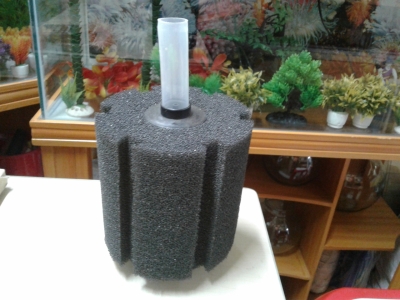 spong-filter-1349667017601484428.jpg
