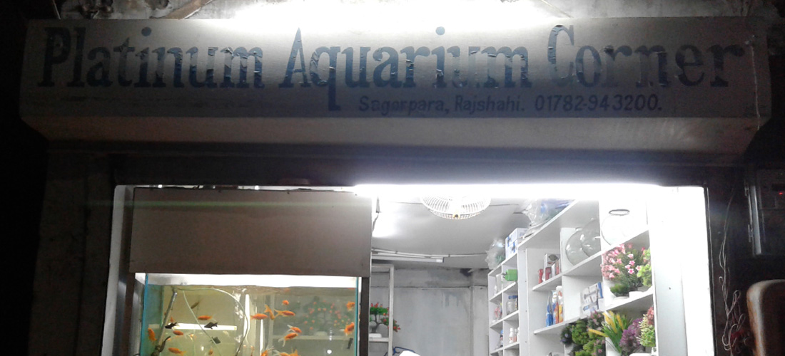platinum-aqurium-corner-rajshahi-1637250042.jpg